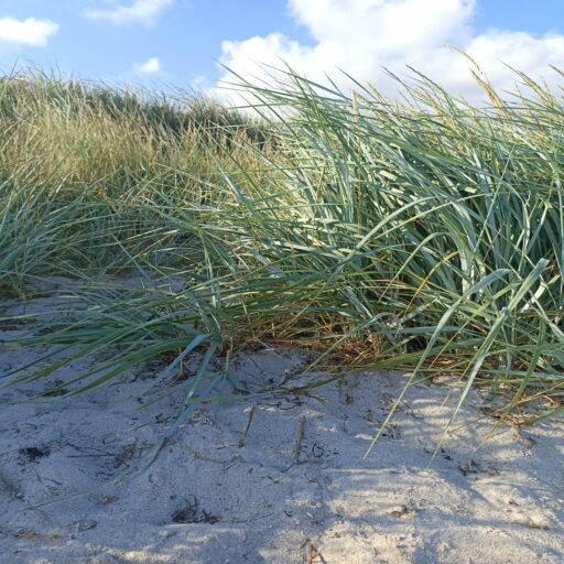 Kontakt Julia Zeller Heilpraktikerin