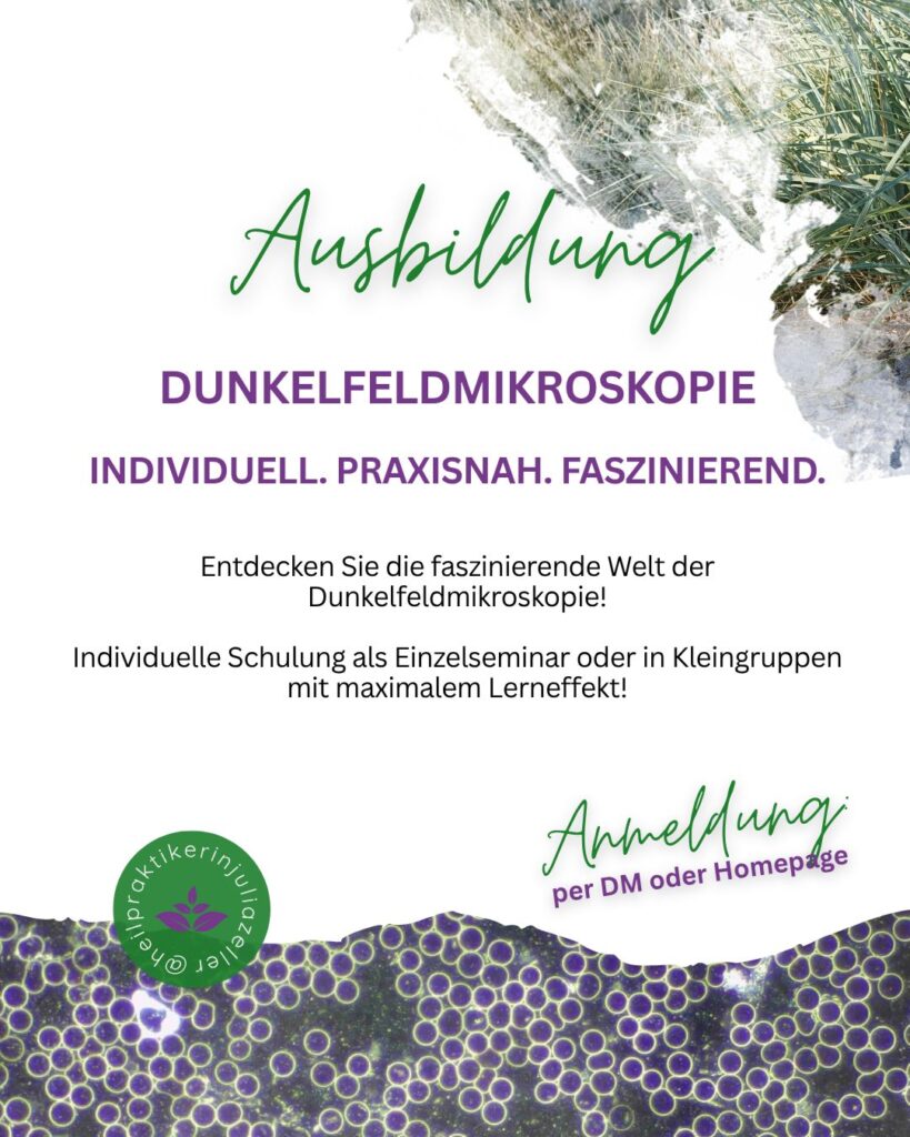 Flyer Ausbildung Dunkelfeldmikroskopie